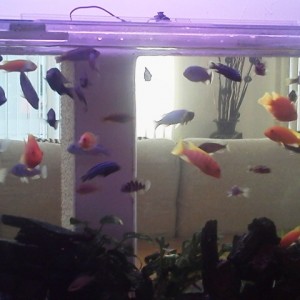 すくすく育つ！！