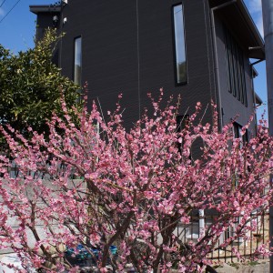 H様邸　いよいよ完成です!!