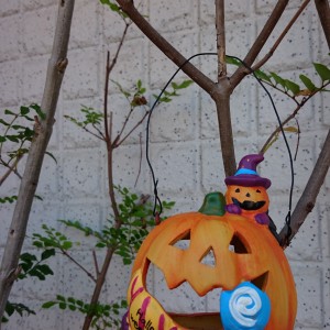 ＊ハロウィン＊