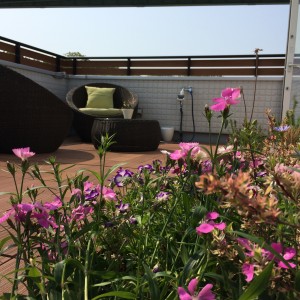 ＧＷいかがお過ごしでしょうか。