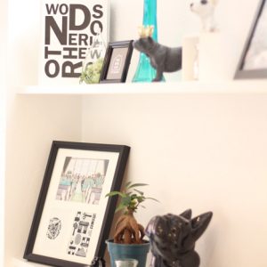 施工実例集撮影。