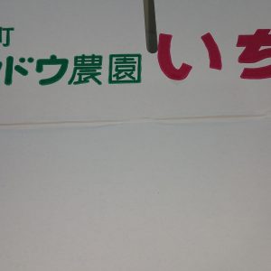 素敵なﾌﾟﾚｾﾞﾝﾄ