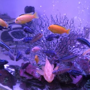 ～ウイルス対策～