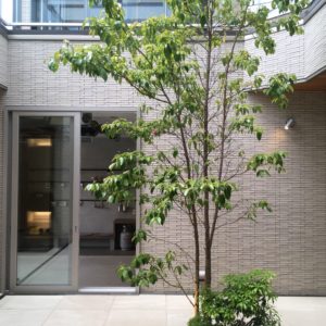 中庭のある家