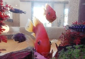 新しい発見！（その２）