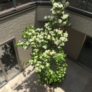 ヒミツじゃない道具紹介。