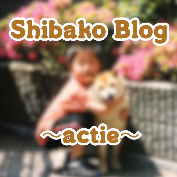 【Shibako Blog②】
