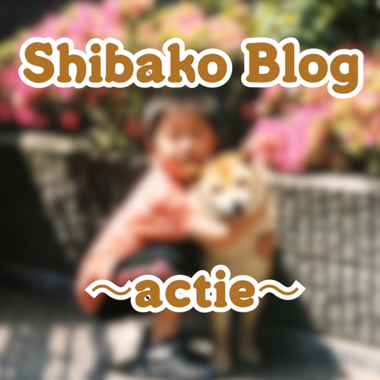 【Shibako Blog⑥～S様邸地鎮祭⛩～】