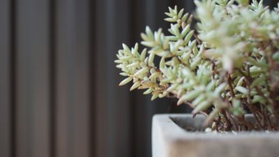 【新築】ガルバリウムで外観をワンランクアップさせよう|外壁・屋根に使用するメリット・デメリット