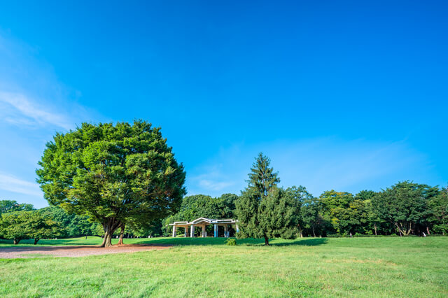練馬区にある光が丘公園