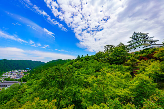 郡上八幡城