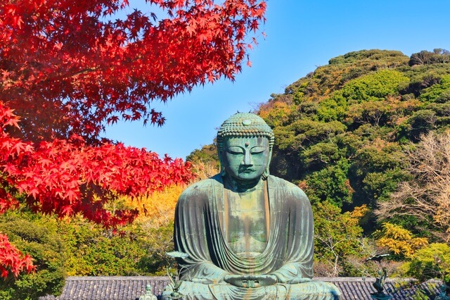 鎌倉の大仏と紅葉
