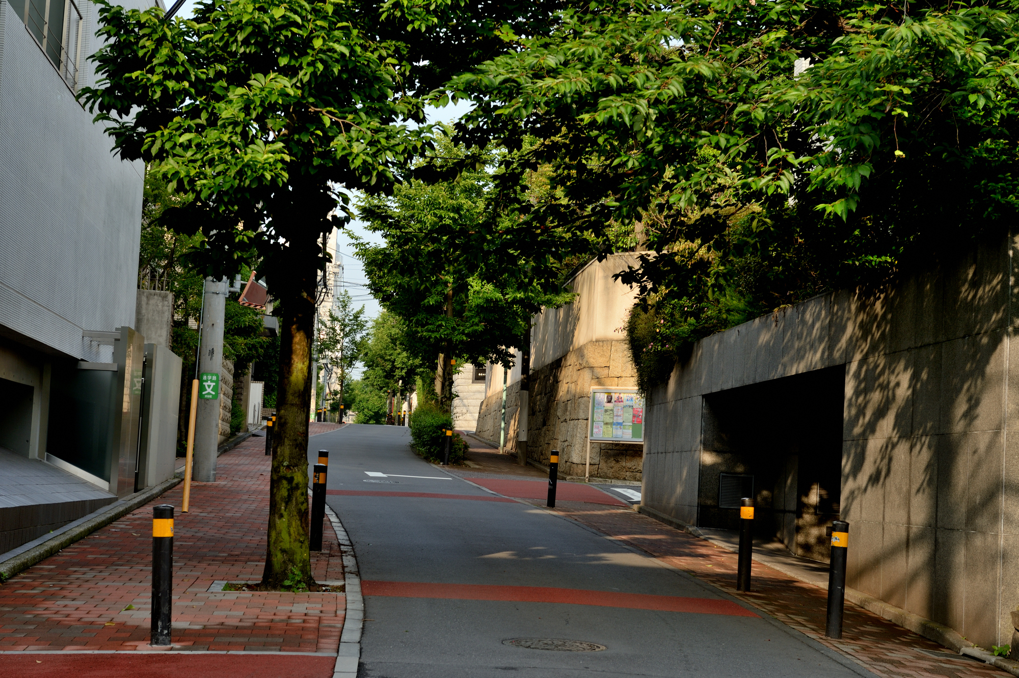 東京の高級住宅街の街並み